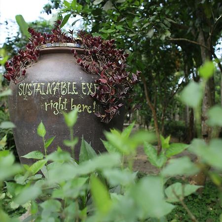 Thuy Bieu Homestay フエ エクステリア 写真