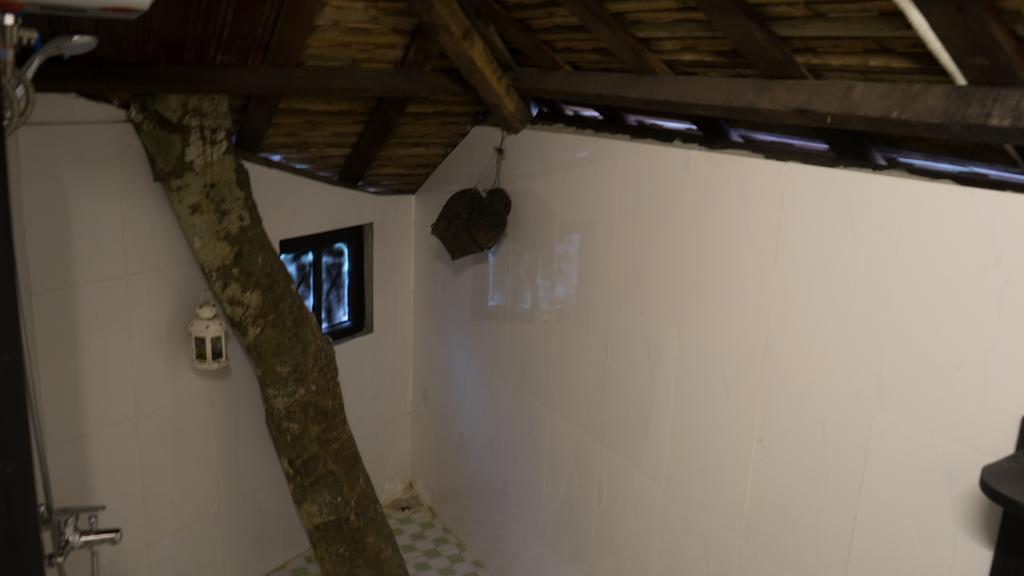 Thuy Bieu Homestay フエ エクステリア 写真