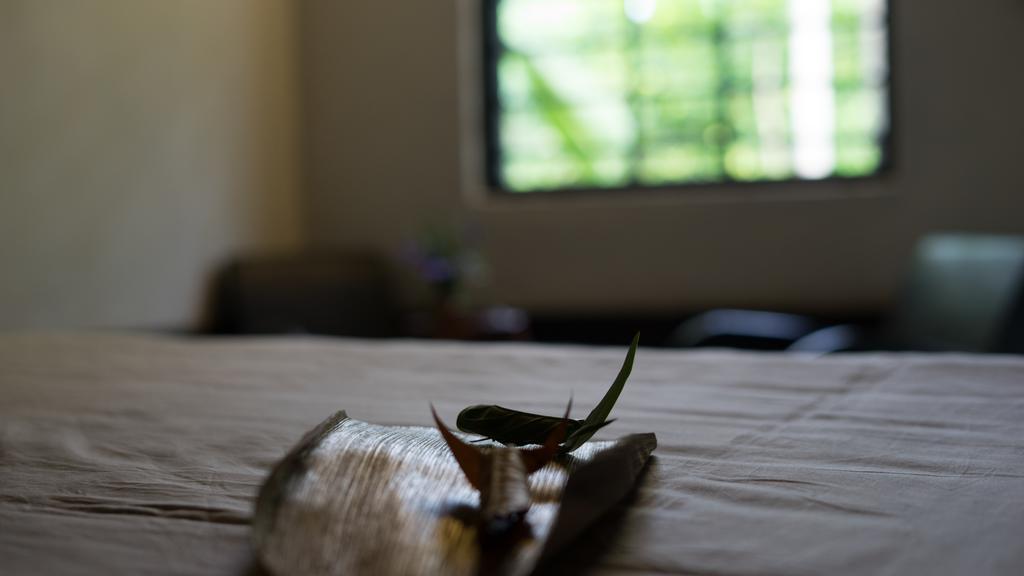 Thuy Bieu Homestay フエ エクステリア 写真