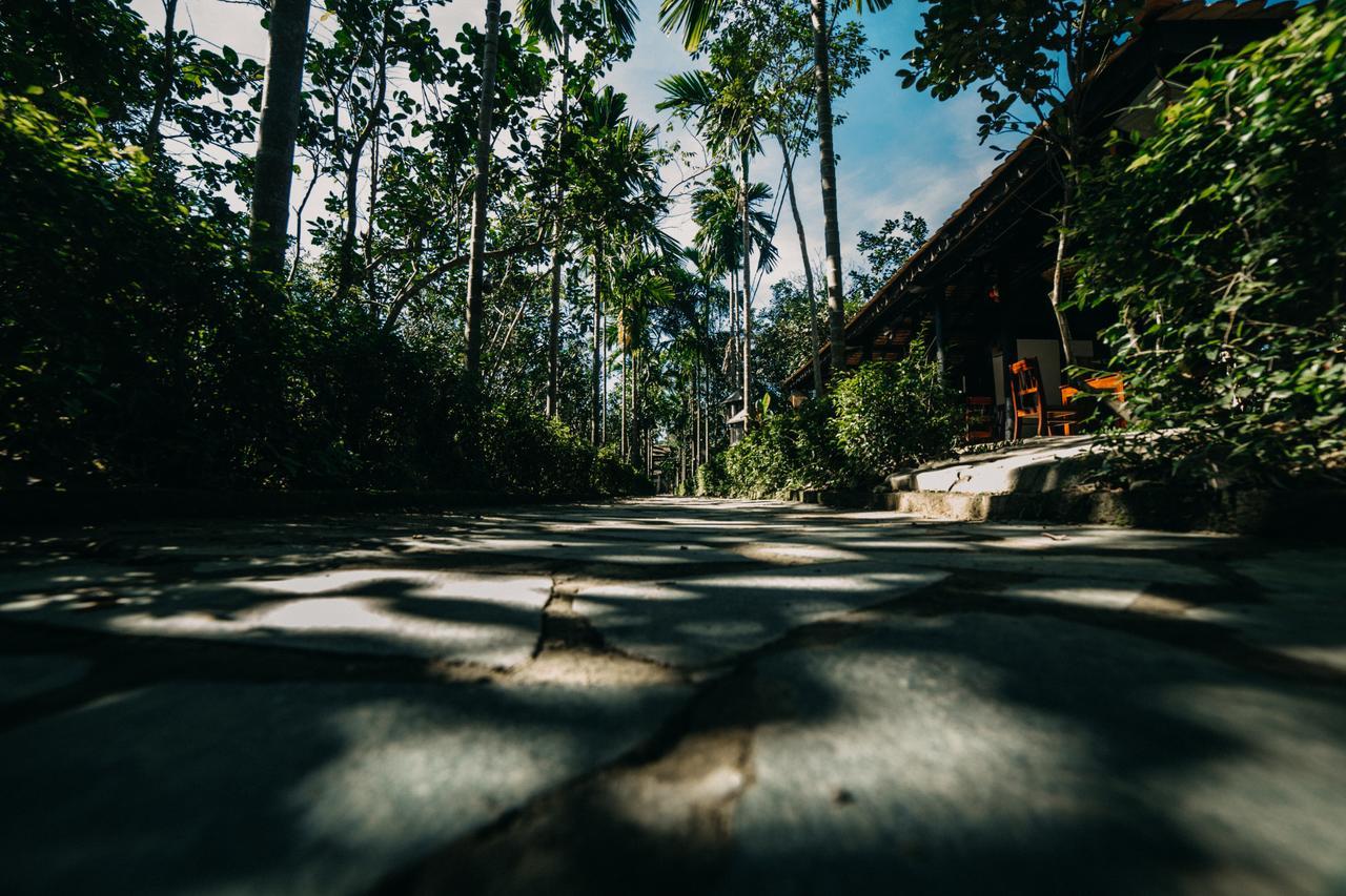 Thuy Bieu Homestay フエ 部屋 写真