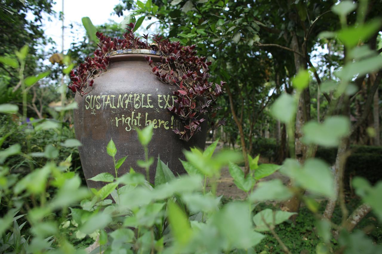 Thuy Bieu Homestay フエ エクステリア 写真