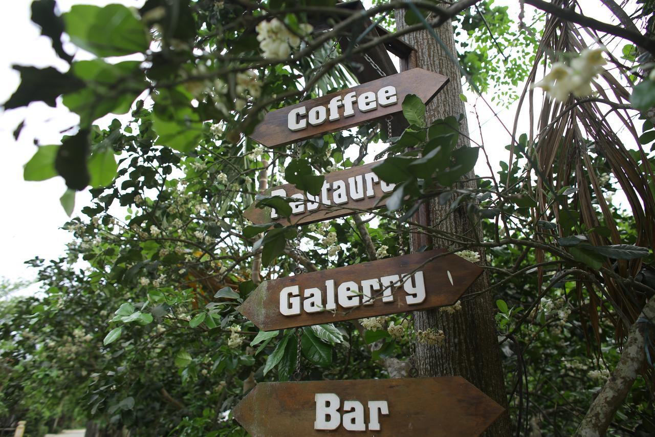 Thuy Bieu Homestay フエ エクステリア 写真