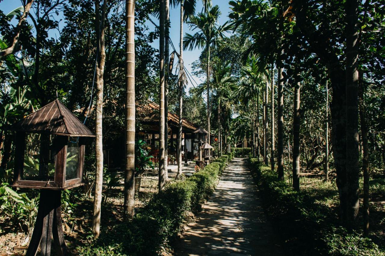 Thuy Bieu Homestay フエ エクステリア 写真